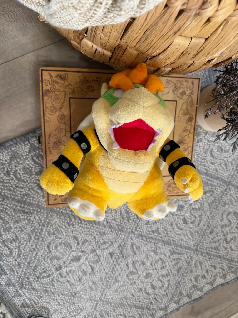 Super Mario Bros Series 10